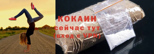 спайс Горняк