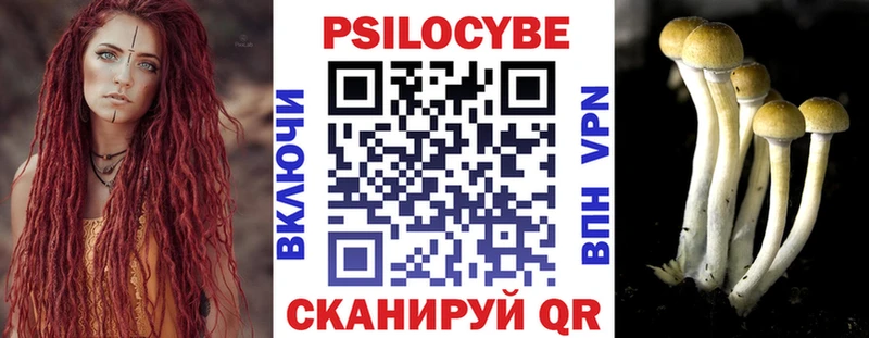 маркетплейс официальный сайт Дубовка Галлюциногенные грибы Cubensis наркота
